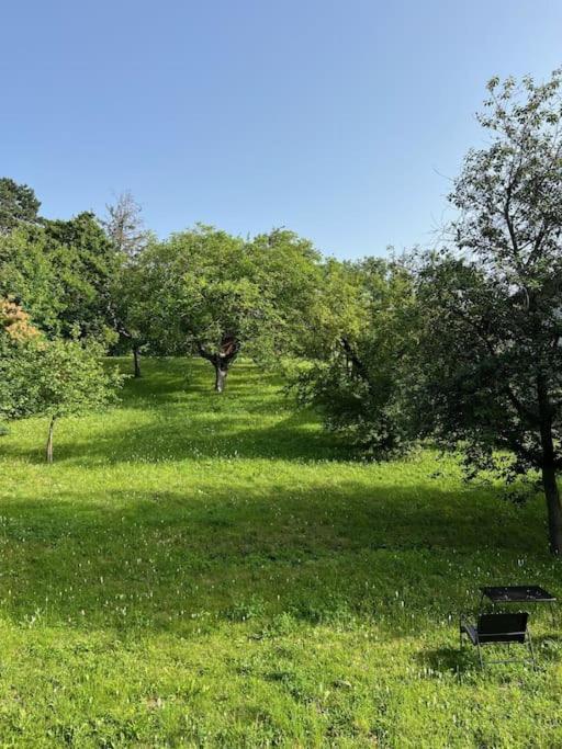 Beletage Johann Strauss Klosterneuburg Bagian luar foto